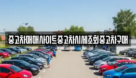 서울 마포구 토정동 중고차 전문 중고차매매사이트중고차시세조회중고차구매