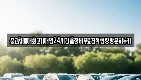 서울 마포구 토정동 중고차 전문 중고차매매최고가매입24시간출장비무료견적현장방문지누카