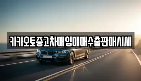 서울 마포구 토정동 중고차 전문 카카오토중고차매입매매수출판매시세