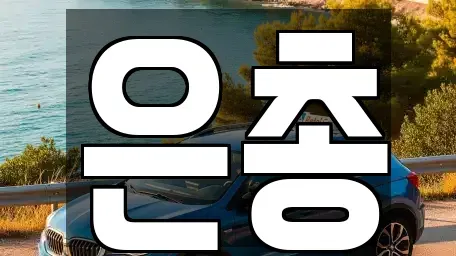 서울 서대문구 중고차 전문 은총