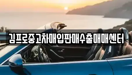 서울 서대문구 중고차매입 전문 김프로중고차매입판매수출매매센터