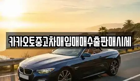 서울 서대문구 중고차매입 전문 카카오토중고차매입매매수출판매시세