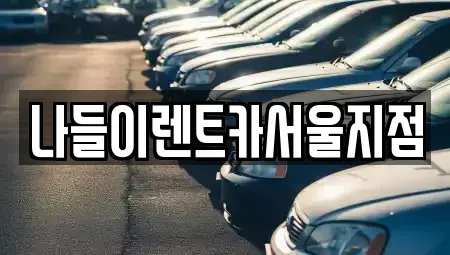 서울 성북구 보문동6가 렌트카 전문 나들이렌트카서울지점