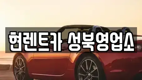 서울 성북구 보문동6가 렌트카 전문 현렌트카 성북영업소