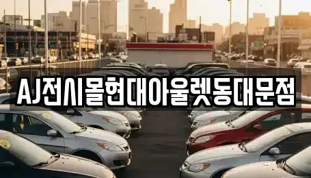 서울 성북구 보문동6가 장기렌트카 전문 AJ전시몰현대아울렛동대문점