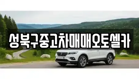 서울 성북구 보문동6가 중고차 전문 성북구중고차매매오토셀카