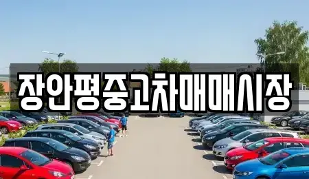 서울 성북구 보문동6가 중고차 전문 장안평중고차매매시장