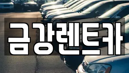 서울 성북구 상월곡동 렌트카 전문 금강렌트카