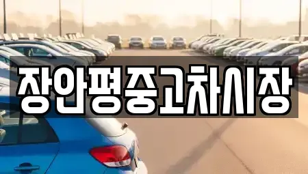 서울 성북구 상월곡동 중고차 전문 장안평중고차시장