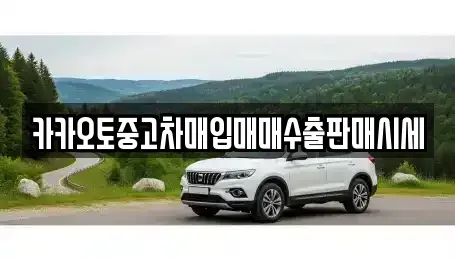 서울 성북구 상월곡동 중고차매입 전문 카카오토중고차매입매매수출판매시세