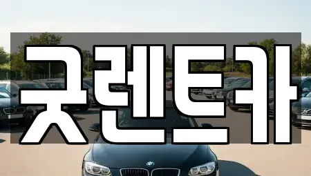 서울 송파구 잠실동 단기렌트카 전문 굿렌트카