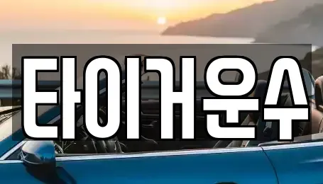 서울 송파구 잠실동 단기렌트카 전문 타이거운수
