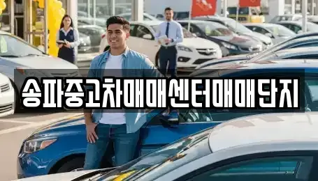 서울 송파구 잠실동 중고차매매 전문 송파중고차매매센터매매단지