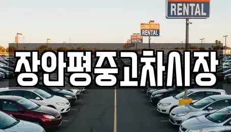 서울 송파구 잠실동 중고차매매 전문 장안평중고차시장