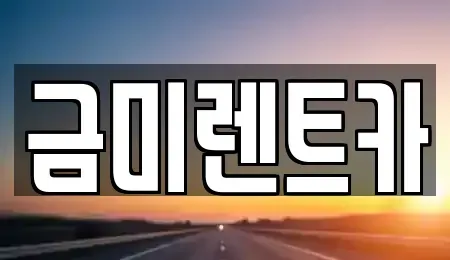 서울 영등포구 양평동3가 렌트카 전문 금미렌트카