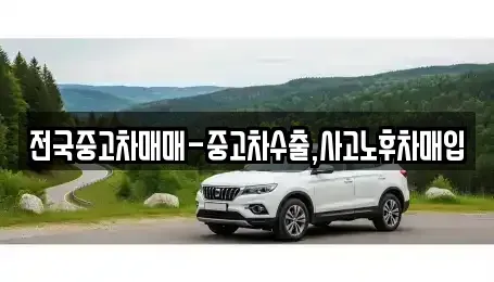 서울 영등포구 양평동3가 중고차매입 전문 전국중고차매매-중고차수출,사고노후차매입