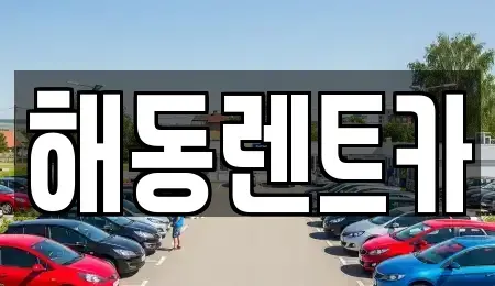 서울 영등포구 여의도동 렌트카 전문 해동렌트카