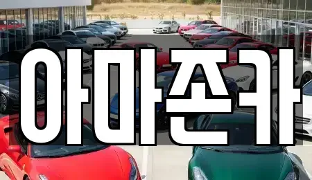 서울 영등포구 여의도동 장기렌트카 전문 아마존카