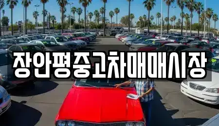 서울 영등포구 여의도동 중고차매매 전문 장안평중고차매매시장