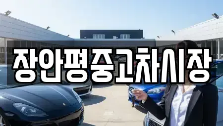 서울 영등포구 여의도동 중고차매매 전문 장안평중고차시장