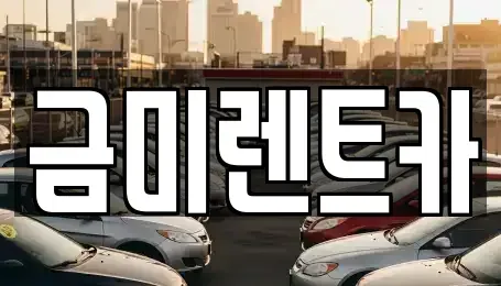 서울 영등포구 영등포동6가 렌트카 전문 금미렌트카