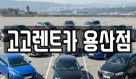 서울 용산구 신계동 렌트카 전문 고고렌트카 용산점