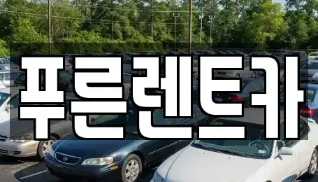 서울 용산구 신계동 렌트카 전문 푸른렌트카