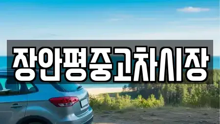 서울 용산구 신계동 중고차매매 전문 장안평중고차시장