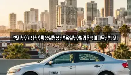 서울 용산구 신계동 중고차매입 전문 벽지누수계단누수화장실천장누수욕실누수빌라주택아파트누수탐지