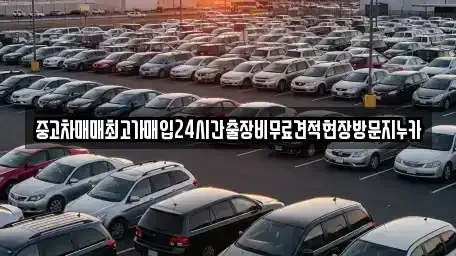 서울 용산구 신계동 중고차매입 전문 중고차매매최고가매입24시간출장비무료견적현장방문지누카