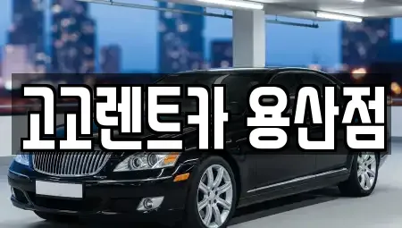서울 용산구 원효로2가 렌트카 전문 고고렌트카 용산점