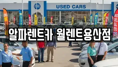 서울 용산구 원효로2가 렌트카 전문 알파렌트카 월렌트용산점