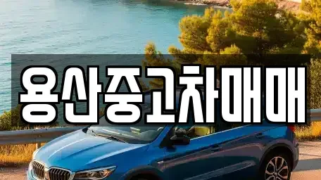 서울 용산구 원효로2가 중고차매매,단기렌트카,중고차매입,장기렌트카,중고차,렌트카