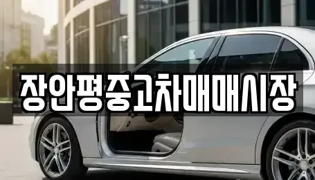 서울 용산구 원효로2가 중고차매매 전문 장안평중고차매매시장