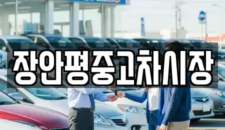 서울 용산구 원효로2가 중고차매매 전문 장안평중고차시장