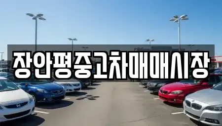 서울 은평구 수색동 중고차 전문 장안평중고차매매시장