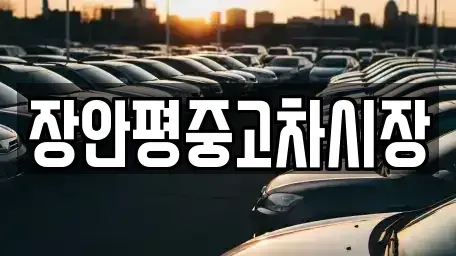 서울 은평구 수색동 중고차 전문 장안평중고차시장