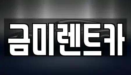 서울 종로구 내수동 렌트카 전문 금미렌트카