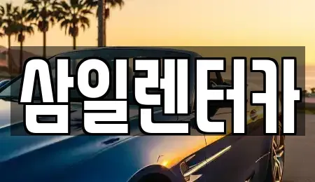 서울 종로구 내수동 렌트카 전문 삼일렌터카