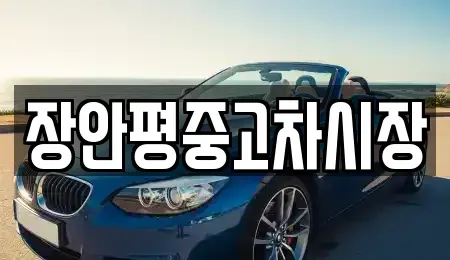 서울 종로구 내수동 중고차 전문 장안평중고차시장