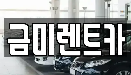 서울 종로구 적선동 렌트카 전문 금미렌트카
