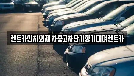 서울 종로구 적선동 장기렌트카 전문 렌트카신차외제차중고차단기장기대여렌트카