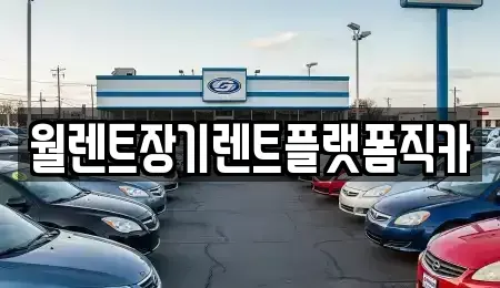 서울 종로구 적선동 장기렌트카,중고차,렌트카,단기렌트카,중고차매입,중고차매매