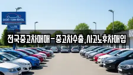 서울 종로구 적선동 중고차 전문 전국중고차매매-중고차수출,사고노후차매입