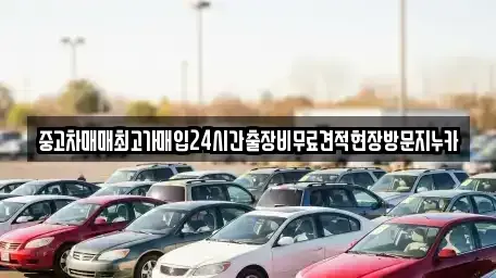 서울 종로구 적선동 중고차 전문 중고차매매최고가매입24시간출장비무료견적현장방문지누카