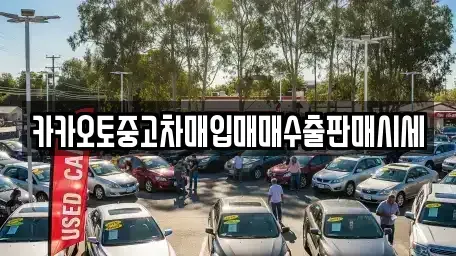 서울 종로구 적선동 중고차 전문 카카오토중고차매입매매수출판매시세