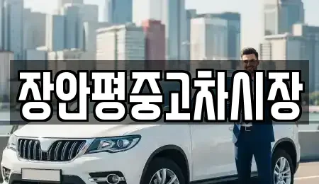 서울 종로구 적선동 중고차매매 전문 장안평중고차시장