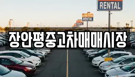 서울 종로구 혜화동 중고차매매 전문 장안평중고차매매시장