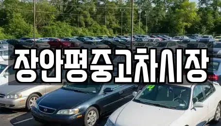 서울 종로구 혜화동 중고차매매 전문 장안평중고차시장