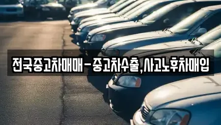 서울 종로구 혜화동 중고차매입 전문 전국중고차매매-중고차수출,사고노후차매입